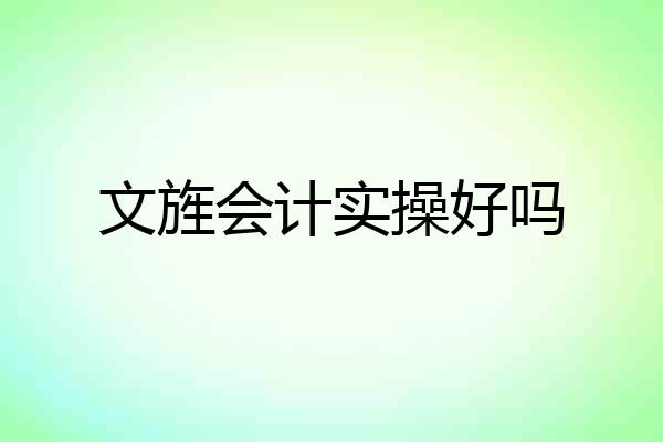 文旌会计实操好吗