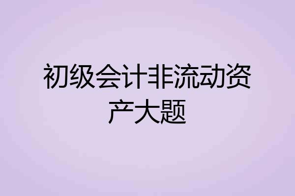 初级会计非流动资产大题