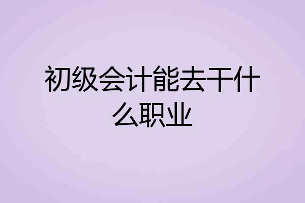 初级会计能去干什么职业