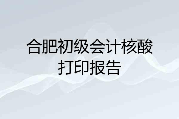 合肥初级会计核酸打印报告