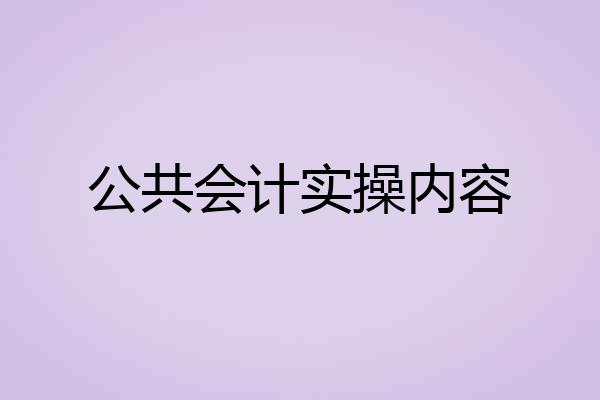 公共会计实操内容