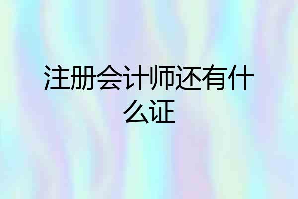 注册会计师还有什么证