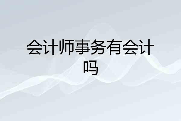 会计师事务有会计吗