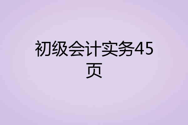 初级会计实务45页