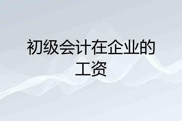 初级会计在企业的工资