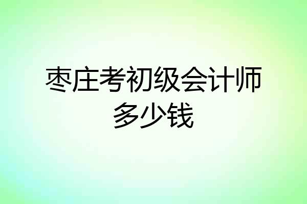 枣庄考初级会计师多少钱