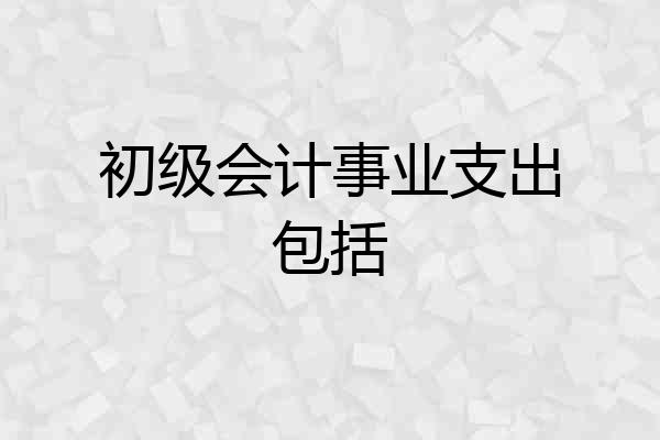 初级会计事业支出包括