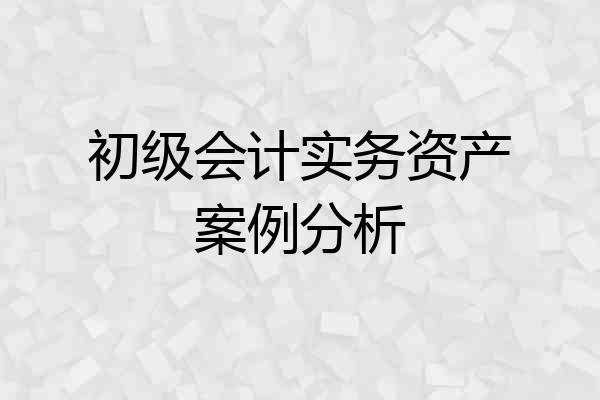 初级会计实务资产案例分析