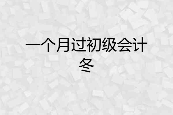 一个月过初级会计冬