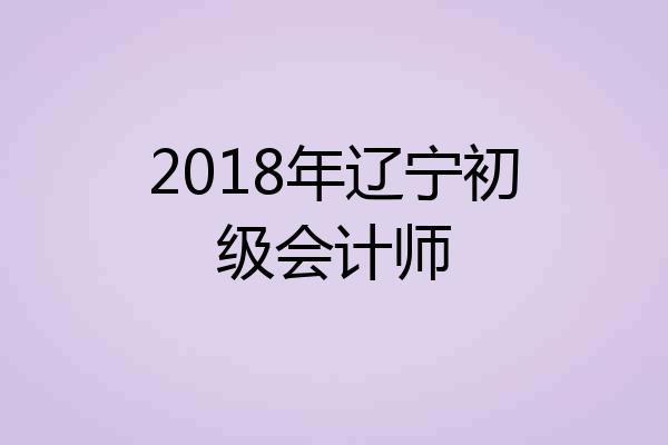 2018年辽宁初级会计师