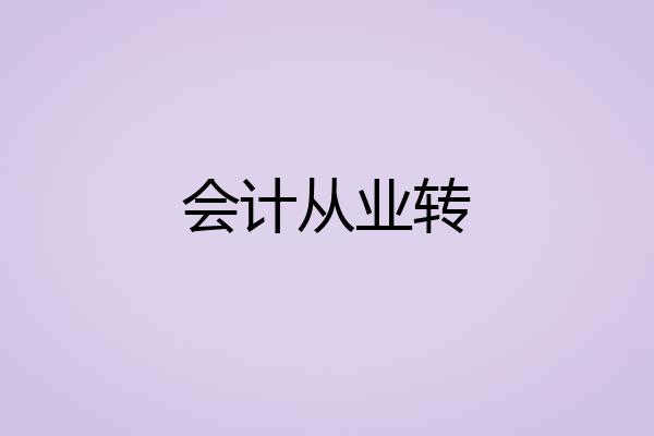会计从业转
