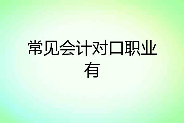 常见会计对口职业有
