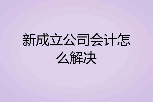 新成立公司会计怎么解决