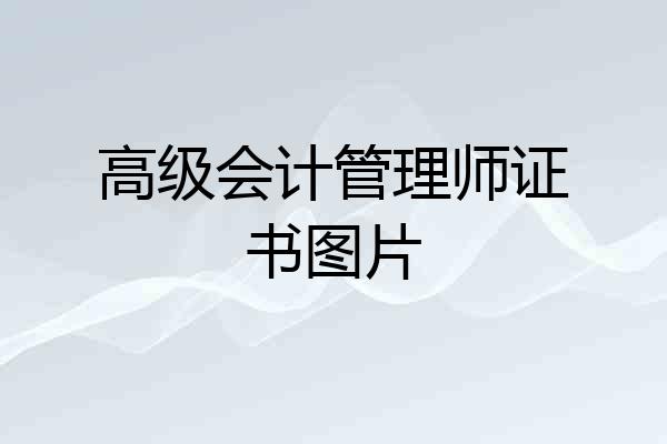 高级会计管理师证书图片