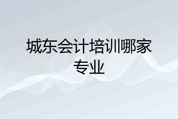 城东会计培训哪家专业