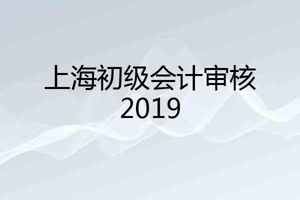 上海初级会计审核2019