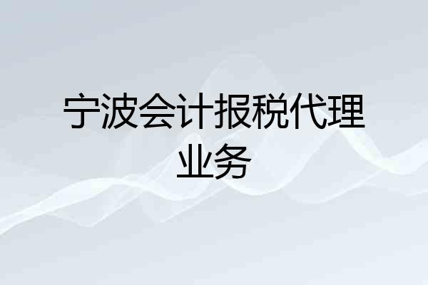 宁波会计报税代理业务