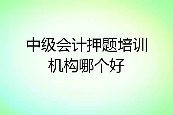 中级会计押题培训机构哪个好