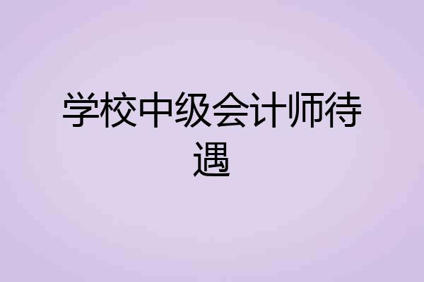 学校中级会计师待遇