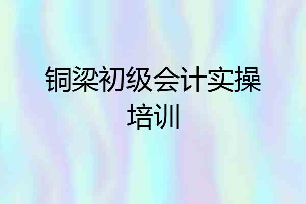 铜梁初级会计实操培训