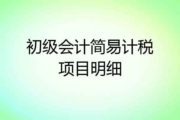 初级会计简易计税项目明细