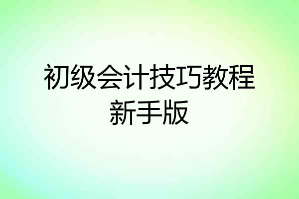 初级会计技巧教程新手版