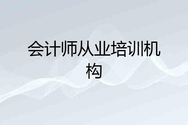 会计师从业培训机构
