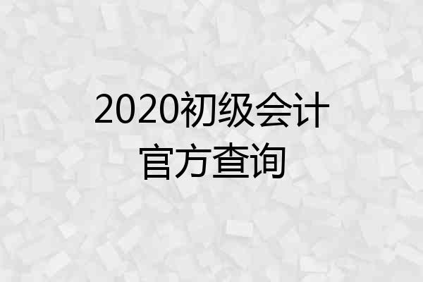 2020初级会计官方查询