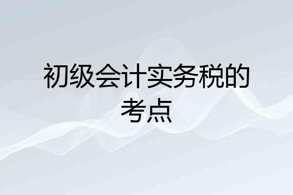 初级会计实务税的考点