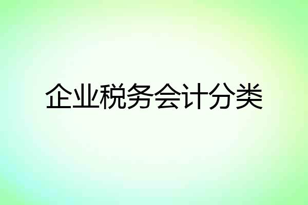 企业税务会计分类