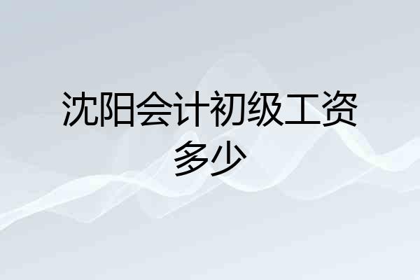 沈阳会计初级工资多少
