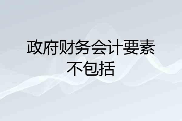 政府财务会计要素不包括