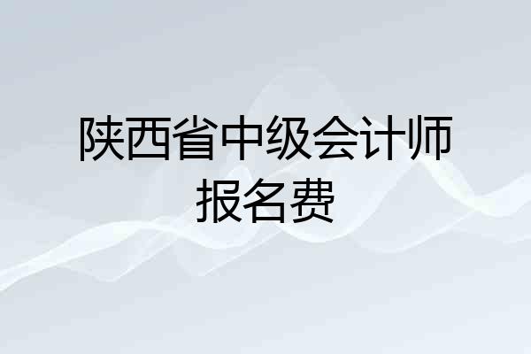 陕西省中级会计师报名费