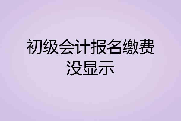 初级会计报名缴费没显示