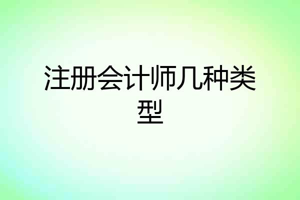 注册会计师几种类型