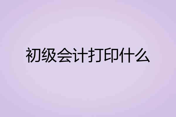 初级会计打印什么