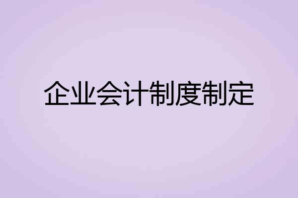 企业会计制度制定