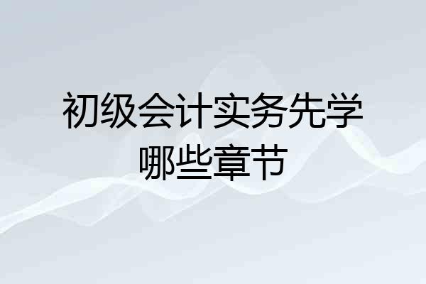 初级会计实务先学哪些章节