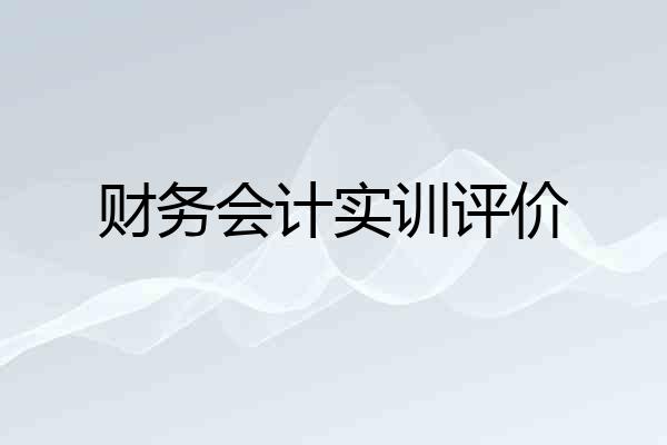 财务会计实训评价
