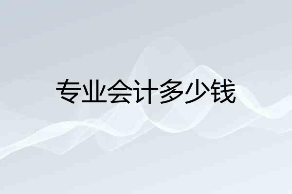 专业会计多少钱