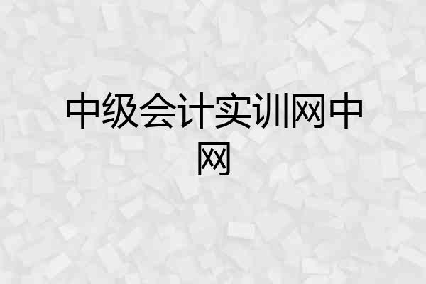 中级会计实训网中网