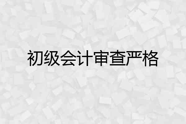 初级会计审查严格