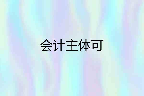 会计主体可