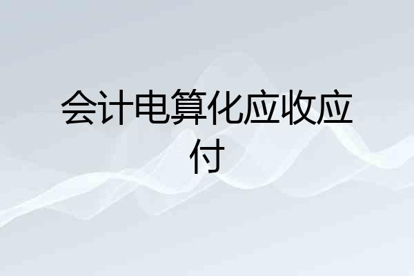 会计电算化应收应付
