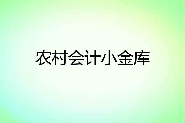 农村会计小金库
