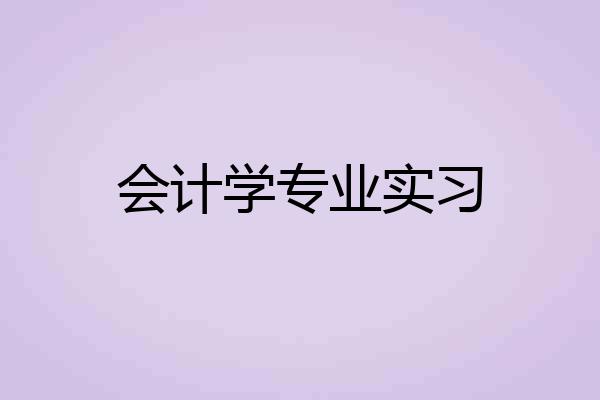 会计学专业实习