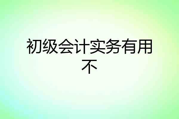 初级会计实务有用不