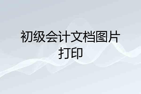 初级会计文档图片打印