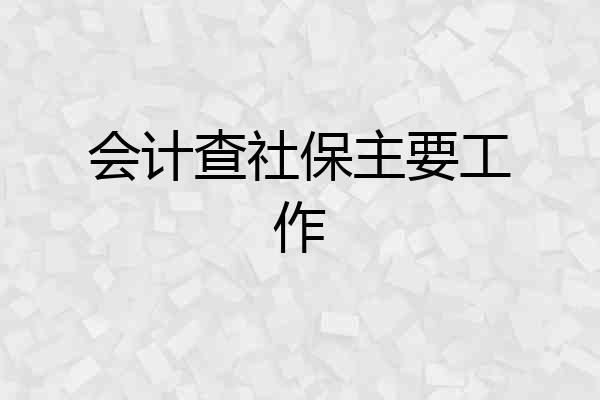 会计查社保主要工作
