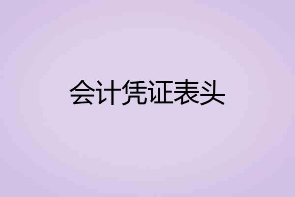 会计凭证表头